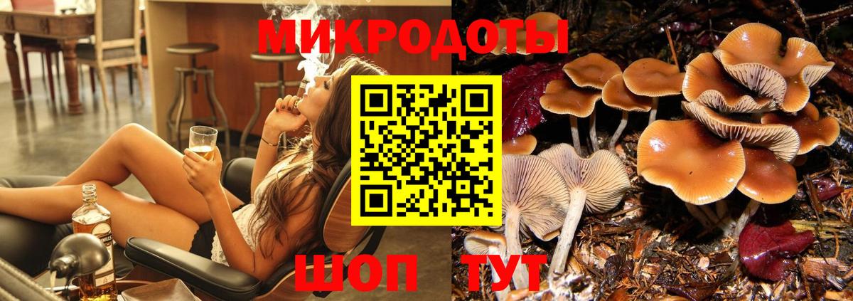 Псилоцибиновые грибы Cubensis Щёлково